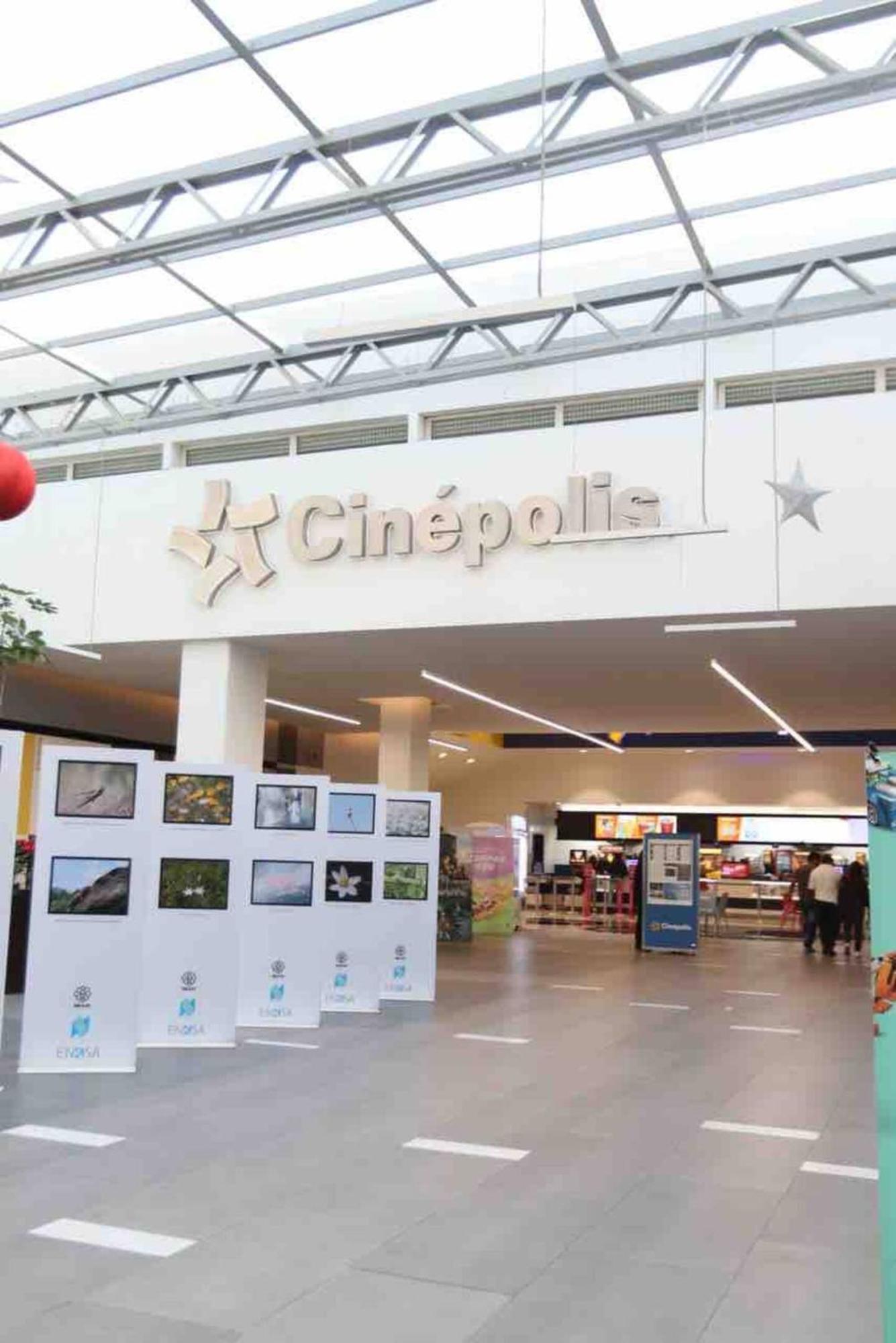 Entire Luxurious Apartment In Shopping Mall Мехико Экстерьер фото